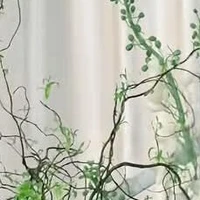 nhóm em(trừ ai tùy)