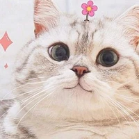 ᴛɢĐừɴɢɴʜìɴᴀᴠᴀᴛᴀʀ