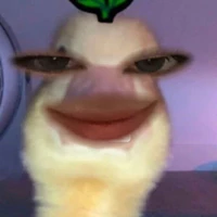 con điên làm ra câu chuyện