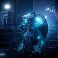 Brown Cameraman / Chad