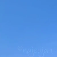 Tiền bối -hậu bối