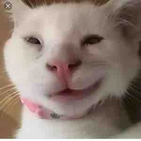 Me