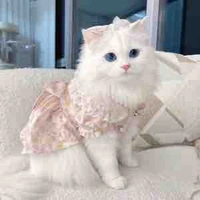Miu_ hệ thống