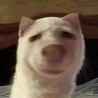 Con nhỏ tác giả