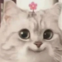 Tác giả hoạt ngôn 😉😉😉