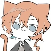 Chihuahua đội mũ 3m bẻ đôi