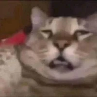 những người có ở đó (all)