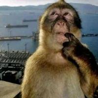 t/g-cái này [...] có ăn đc ko