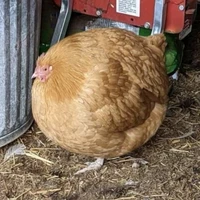 Storms[có tên đàng hoàng rồi>:)]