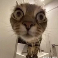 hệ thống ngầu lòi