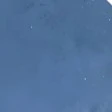 Cả lớp 11A