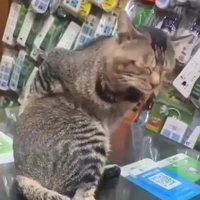 Lại là nhỏ này??