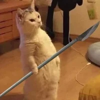 con t/g lười bỏ mẹ