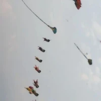 Tiên Môn Bách Gia ngu dốt