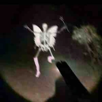 Tác giả (sốp🤡)