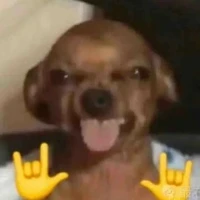 T/g ngu ngơ