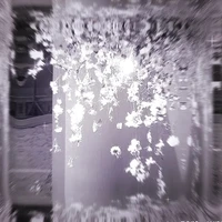 nhân Vật Bí Ẩn