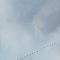 Mọi người