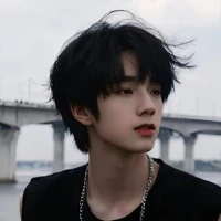 Vương Lỗ Kiệt