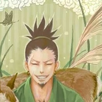 Nara Shikaku