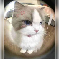 ꊞ๑୨୧tongdailanhlung୨୧