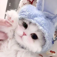 Cothukibebong( nhân cách 2 của t/g)