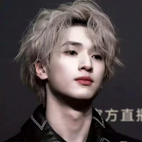 Nghiêm Hạo Tường - Y