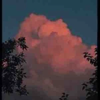 Lâm Hoà( mẹ nữ chính 1)