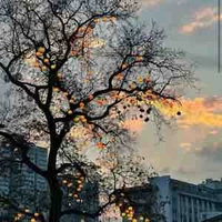 Hàn Miên( mẹ nữ chính 2)