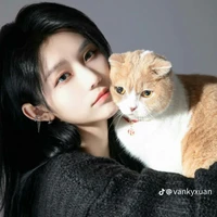 Từ Sở Văn_Xuẩn_Cô