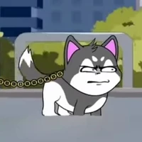 nhị ca