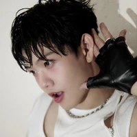 Lê Hồ Phước Thịnh