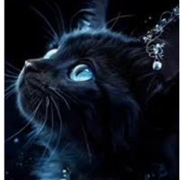 cattorny