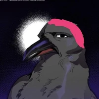 hiha crow