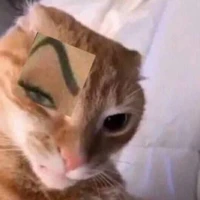 HT mèo sigma