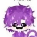 hiha catnap