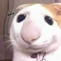 nhóm hiha