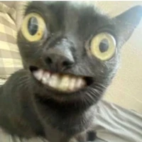 trùm trường