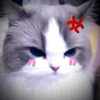 Hệ thống (mều mếu)