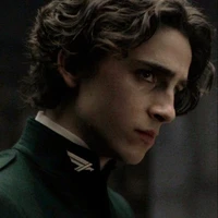 Regulus Black