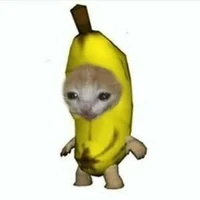 tổng tài chuối 🍌
