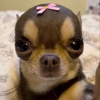 T/G bị đẹp gái☺️