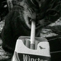 t/G ( hạnh nguyen)