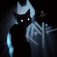 ? ? ?