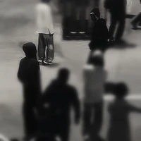 ▩Hoa Hồng Cẩm Chướng▩