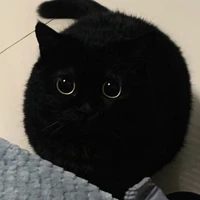 T/G