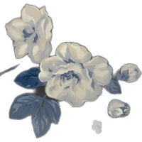 mọi người