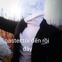gaster(psgt)