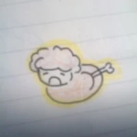 shedlestky
