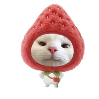 𝗔𝗹𝗹 𝗰𝗼́ 𝗺𝗮̣̆𝘁